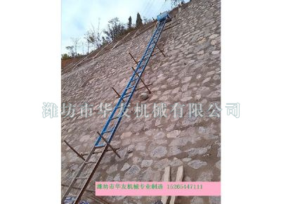 點(diǎn)擊查看詳細(xì)信息<br>標(biāo)題：華友機(jī)械建筑用爬山虎 閱讀次數(shù)：6064